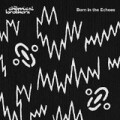 Chemical Brothers, The - Born in the echoes - 2xlp