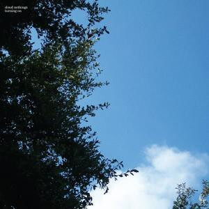 Cloud Nothings - Turning On - lp