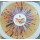 Cock Sparrer - Back in San Francisco 2009 - (splatter) col 2xlp