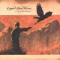 Crippled Black Phoenix - A love of shared disasters - 2xlp