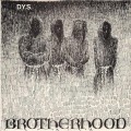 DYS - Brotherhood - lp