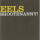 Eels - Shootenanny - lp