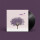 Eels - Tomorrow Morning lp