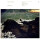 Fleet Foxes - Crack-Up - lp