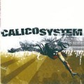 Calico System - Duplicated memory