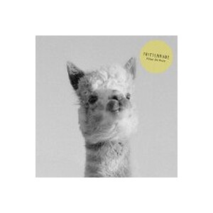 Frittenbude - Küken Des Orion - cd