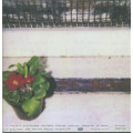 Fugazi - Red Medicine - lp