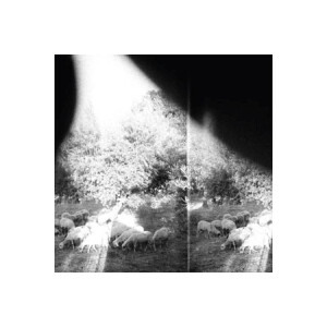 Godspeed You Black Emperor! - Asunder, Sweet And Other Distress - lp
