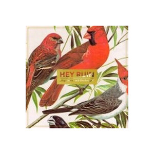 Hey Ruin - Irgendwas mit Dschungel - cd