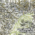 Chad VanGaalen - Diaper island