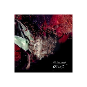 Kill Kim Novak - 03:05 - cd