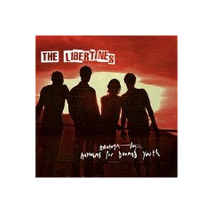 Libertines, The - Anthems For Doomed Youth - lp