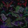 Marvin Gays, Thee - Sleepless Nights - lp