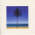 Metronomy - English Riviera - lp