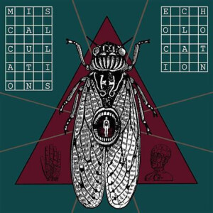 Miscalculations, The - Echolocation - lp