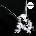 Moth, The - They fall - col. lp