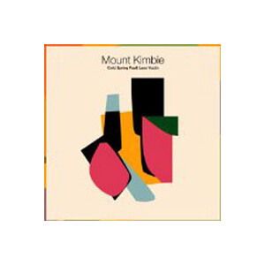 Mount Kimbie - Cold Spring Fault Less Youth - lp