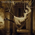 Porcupine Tree - Signify - 2xlp