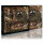 Protector - The Heritage - cd
