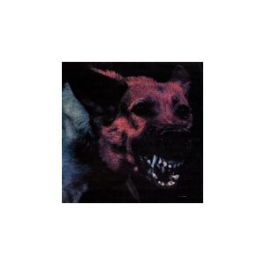 Protomartyr - Under Color Of Official Right - lp