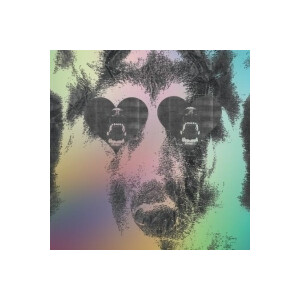 Crocodiles - Boys