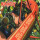 Randy - You cant keep a good band down - cd