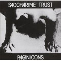 Saccharine Trust - Pagan Icons - lp