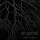 Serpentcult - Raised by Wolves (Schnapper) - cd
