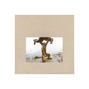 Shellac - Dude incredible - lp + cd