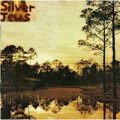 Silver Jews - Starlite Walker - lp
