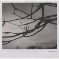 Dakota Suite - The night just keeps coming in