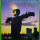 Sonic Youth - Bad Moon Rising - cd