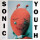 Sonic Youth - Dirty - 2xlp