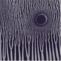 Sunn O))) - The GrimmRobe Demos - cd