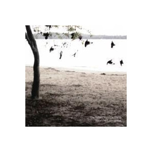 Tallest Man On Earth, The - Theres No Leaving Now - lp