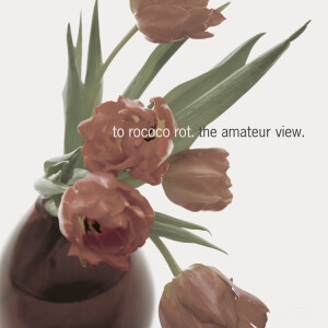 To Rococo Rot - The Amateur View ltd 2xlp