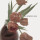 To Rococo Rot - The Amateur View ltd 2xlp