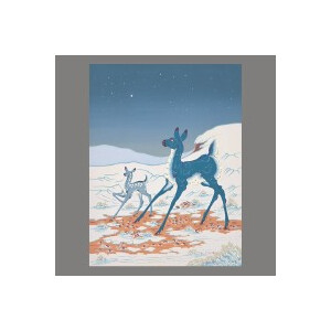 Tortoise and Bonnie Prince Billy - The Brave and the Bold - lp
