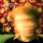 Ty Segall - Lemons - lp