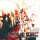 What Lies Within/Death Before Disco - split - cd