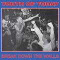 Youth Of Today - Break Down the Walls - col lp