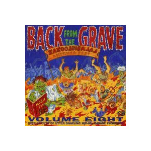 v/a - Back From The Grave Vol. 8 - 2xlp