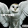 Deftones - Diamond eyes