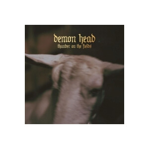 Demon Head - Thunder On The Fields