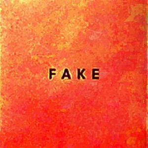 Die Nerven - Fake col.lp (regular press)