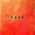 Die Nerven - Fake cd