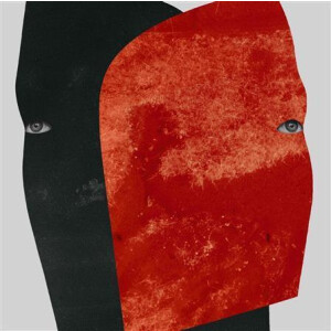 Rival Consoles - Persona lp