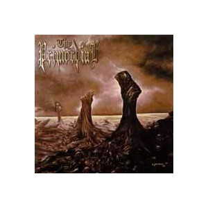 Thy Primordial - The Heresy of an Age of Reason - lp