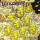 Dinosaur Jr. - I Bet On Sky