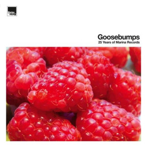 v/a - Goosebumps - 25 Years of Marina Records - 3xlp